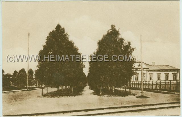 008_5 vanhoja Postikortti Iisalmi    7650k.jpg